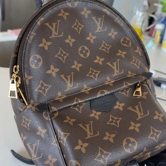 Louis Vuitton palm spring bag pack PM - Picture 4 of 9